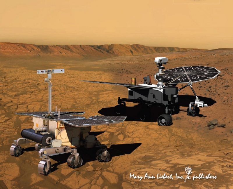  Европейский и американский роверы должны были исследовать поверхность Марса совместно. Рисунок с обложки журнала Astrobiology (v.10, №7, September 2010) 